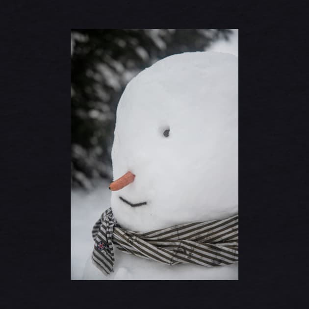 Mr Snowman by Memories4you